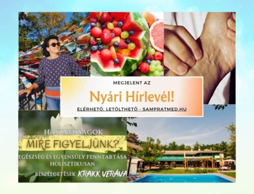 2025. Nyári Hírlevél