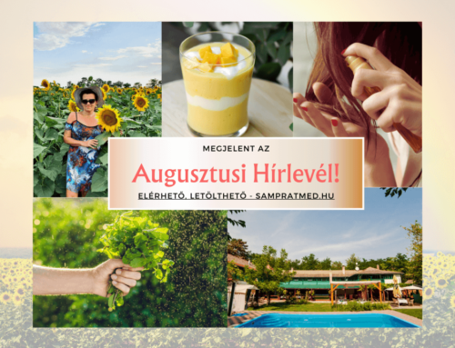 2025. Augusztusi Hírlevél